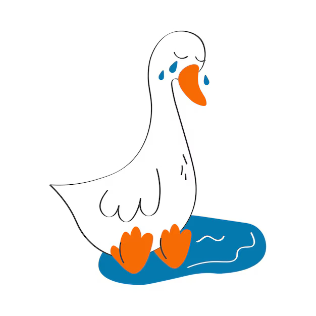 Orphan Goose